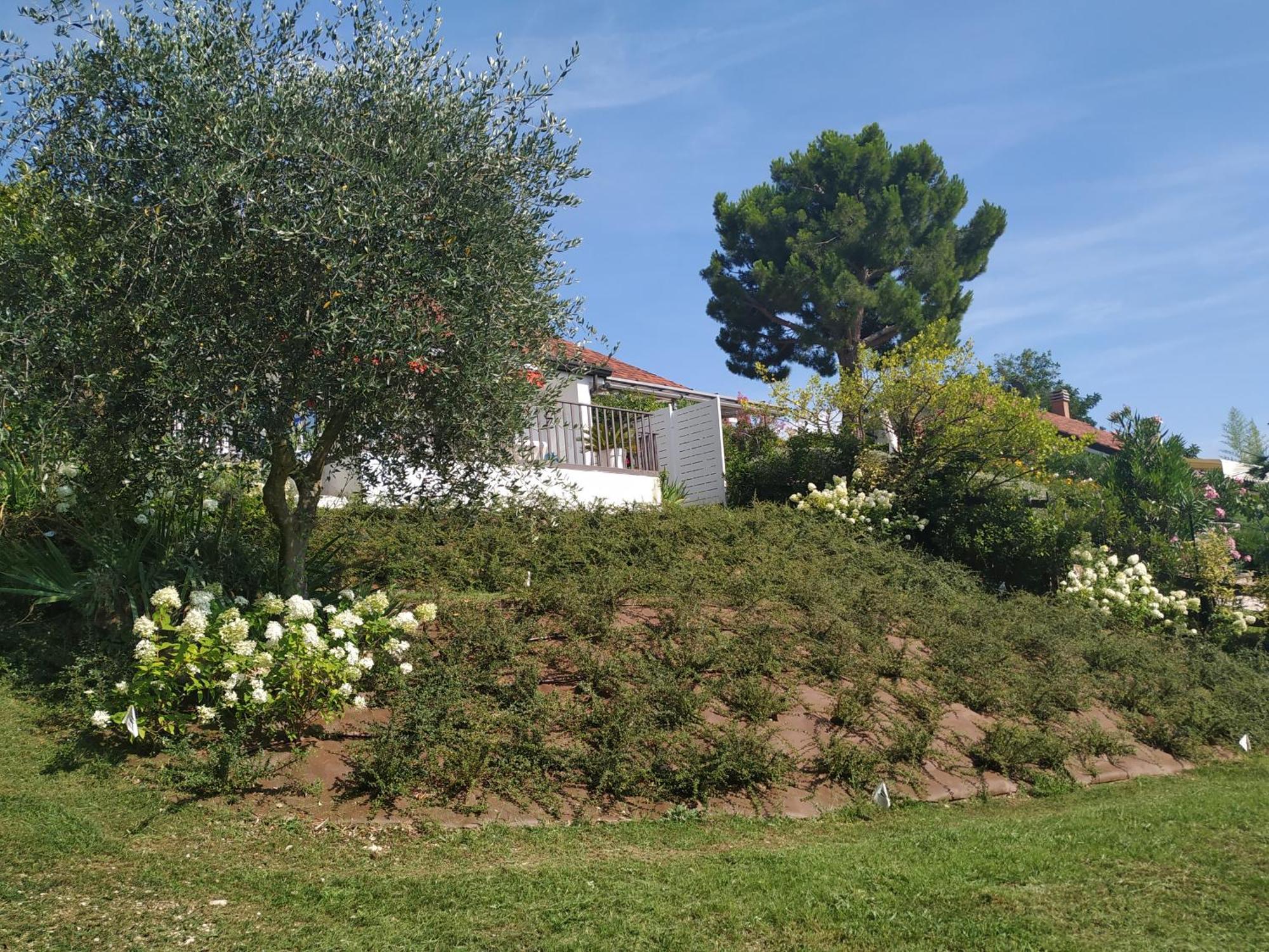 Casa Fellini Villa San Zeno di Montagna Eksteriør bilde