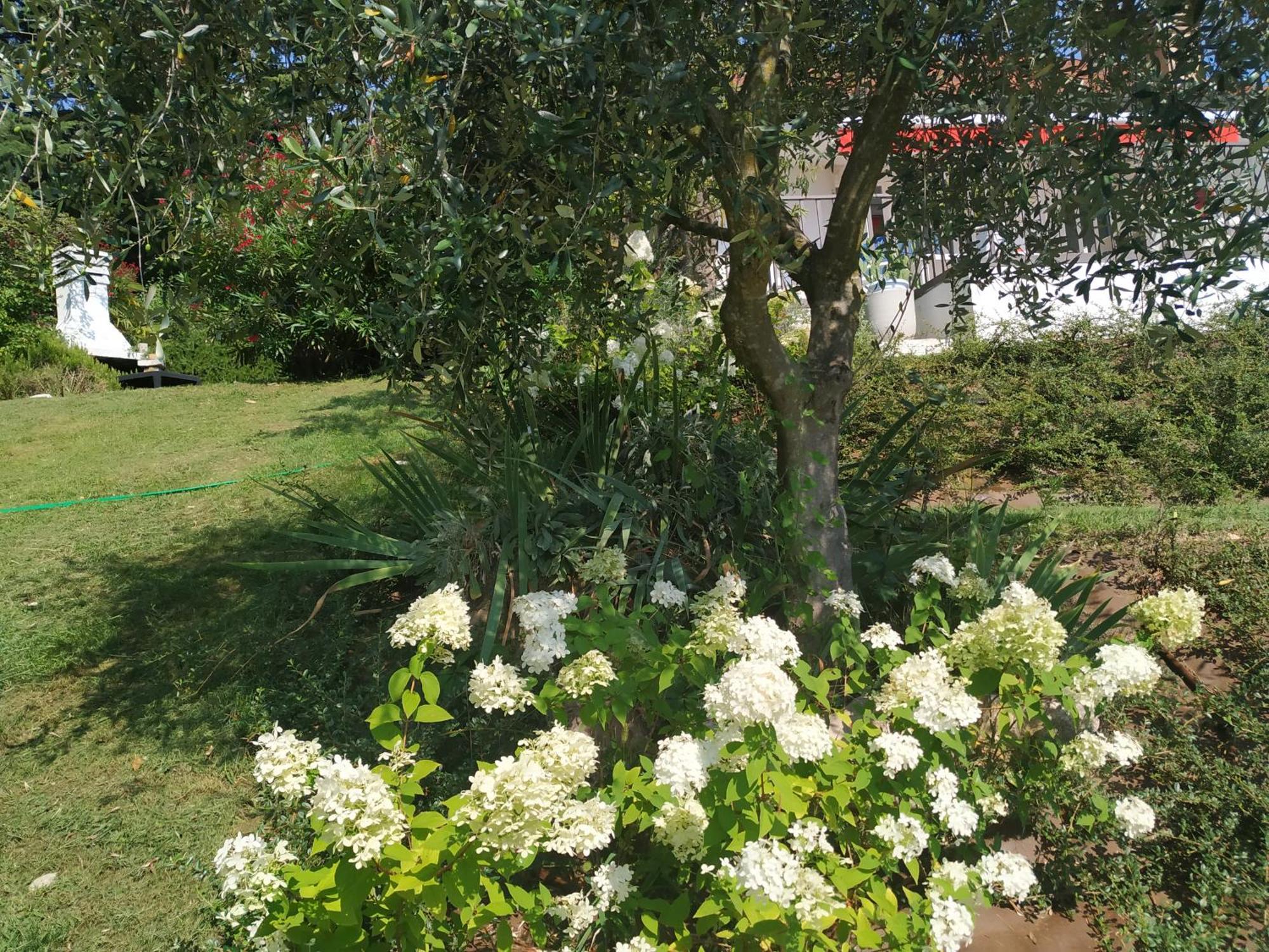Casa Fellini Villa San Zeno di Montagna Eksteriør bilde